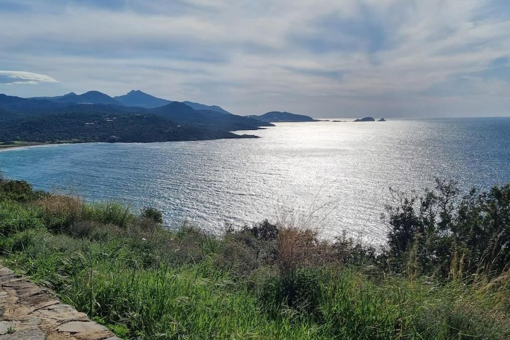 Charmant Petit Logement A 3 Kms De La Plage Belgodere  Exterior photo